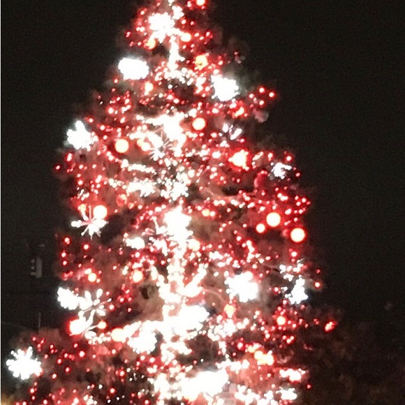 ❤️ChristmasMAKE OFFER🎄 - Picture 13 of 16